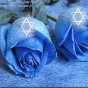 Love for Israel