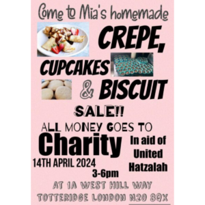 Mia&rsquo;s Bat Mitzvah Fundraiser