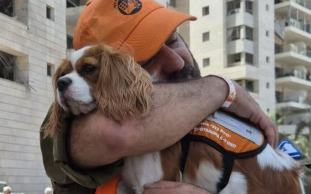 United Hatzalah's Rescue Dog at work helping people deal with psychological trauma