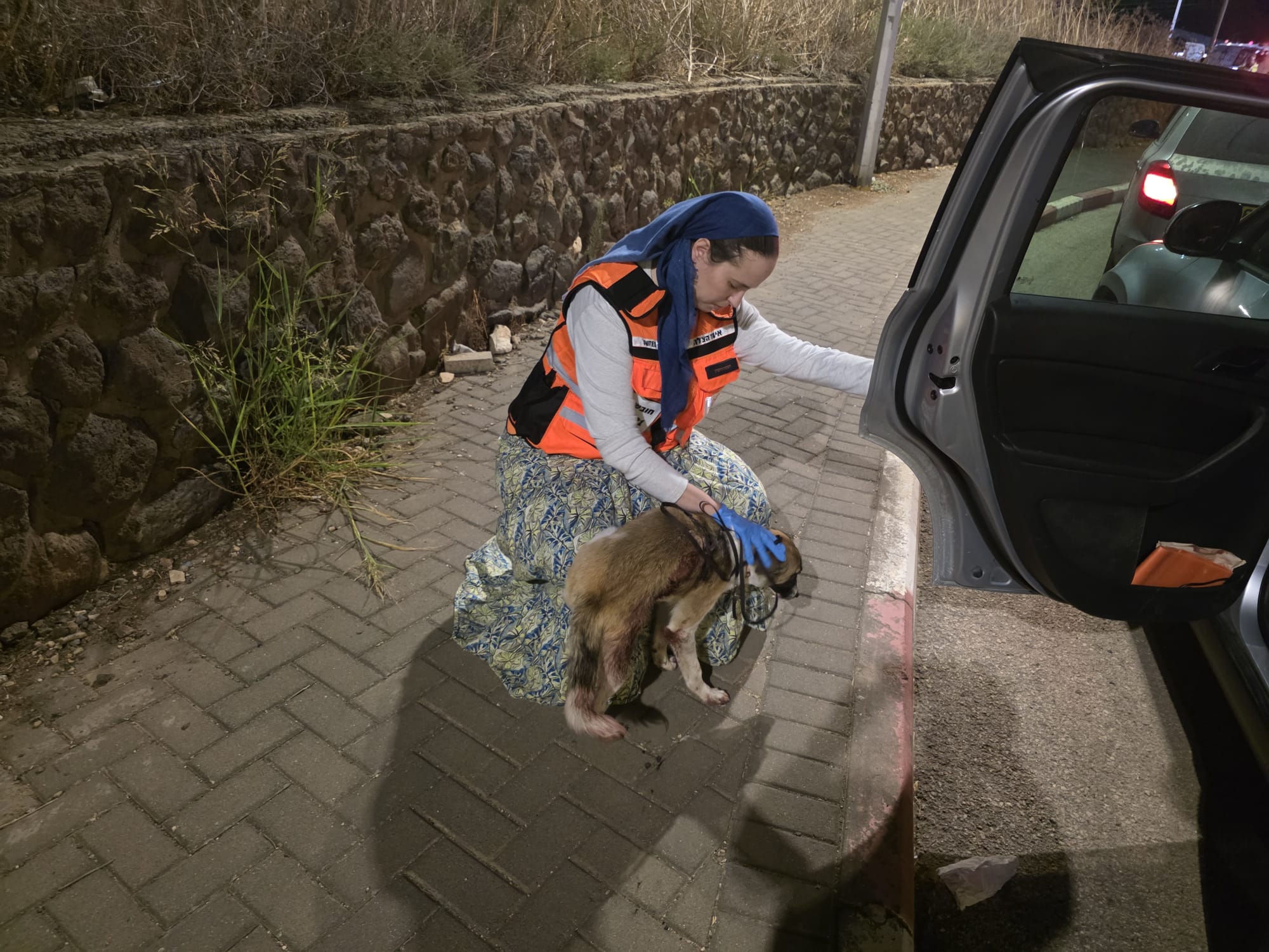 United Hatzalah Medic assists dog injured in a car accident.