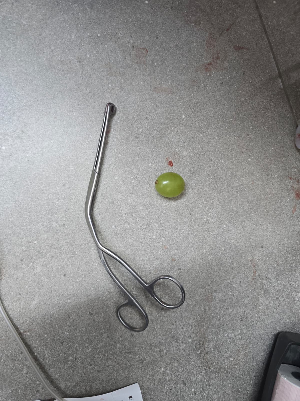 grape incident