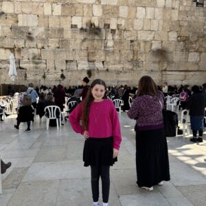 Emily's Bat Mitzvah Campaign