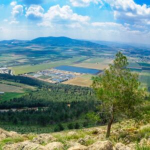 GILA'S STORY AND A WAY TO HELP